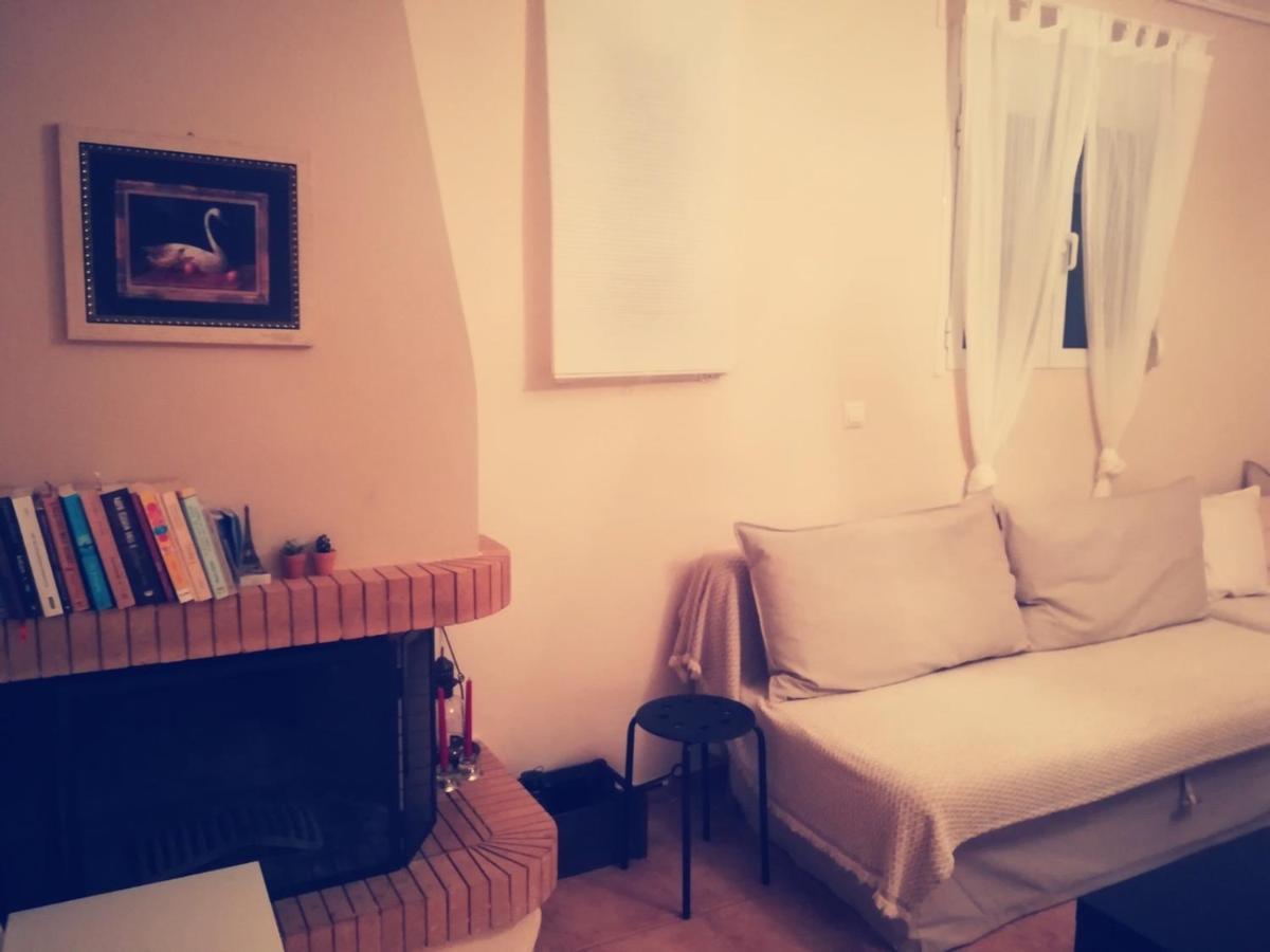 阿特米达Lux House Next To The Airport Of Athens. Transport 24H别墅 外观 照片