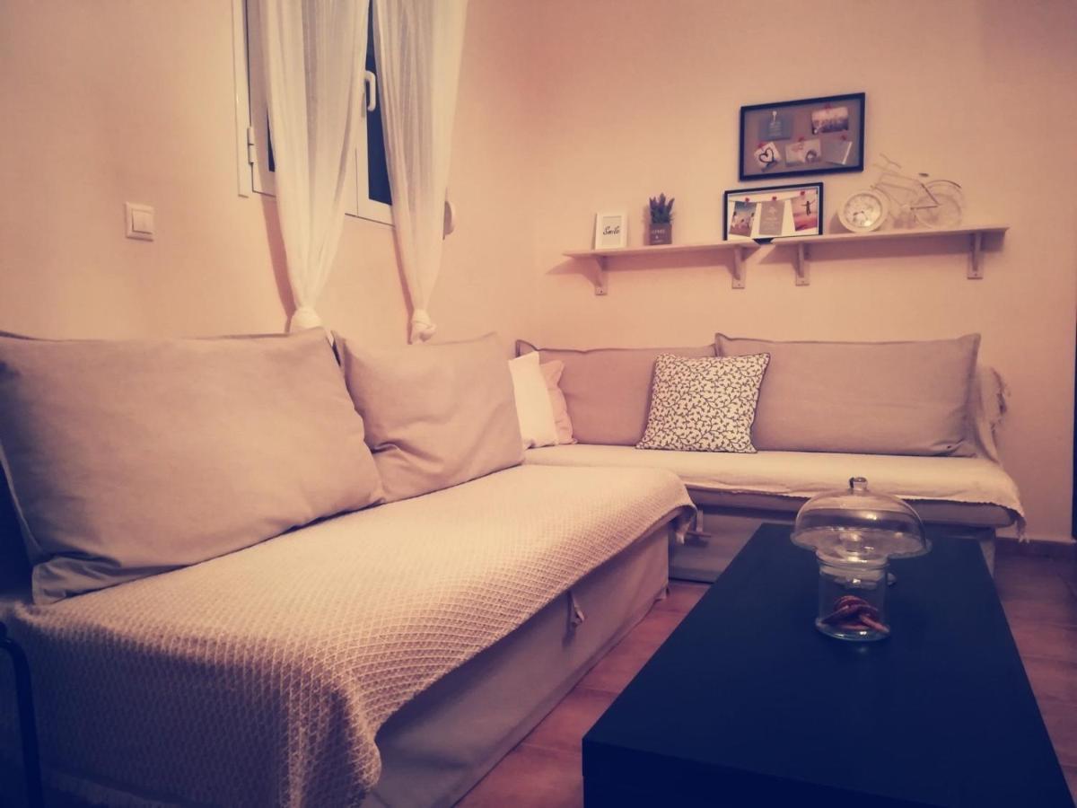 阿特米达Lux House Next To The Airport Of Athens. Transport 24H别墅 外观 照片